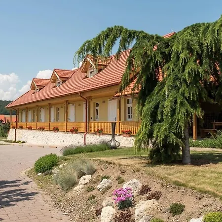 Tokaj Ostrozovic Guest house Velka Trna