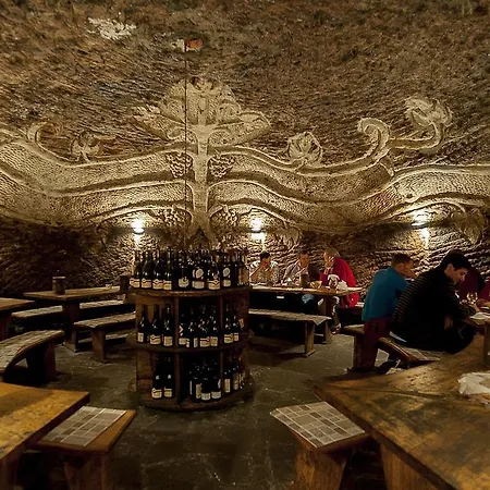 Tokaj Ostrozovic *