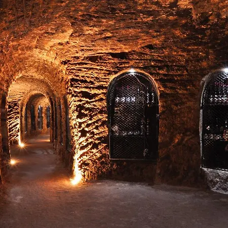 Tokaj Ostrozovic