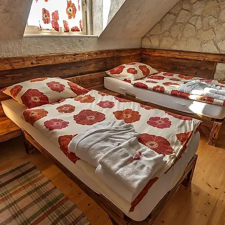 Tokaj Ostrozovic Guest house Velka Trna