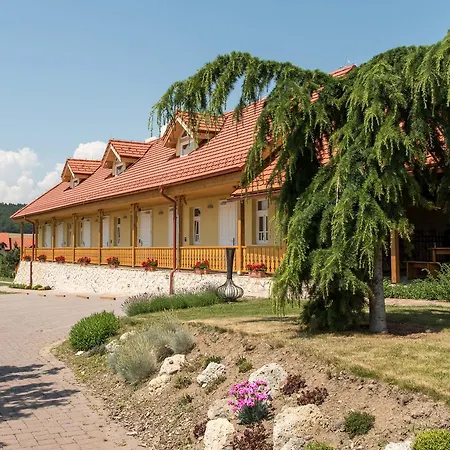 Tokaj Ostrozovic *