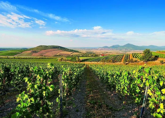 Tokaj Ostrozovic Gasthof